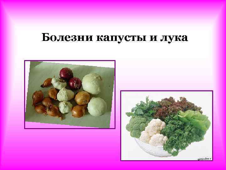 Болезни капусты и лука 