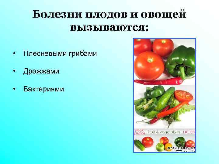Болезни плодов и овощей вызываются: • Плесневыми грибами • Дрожжами • Бактериями 