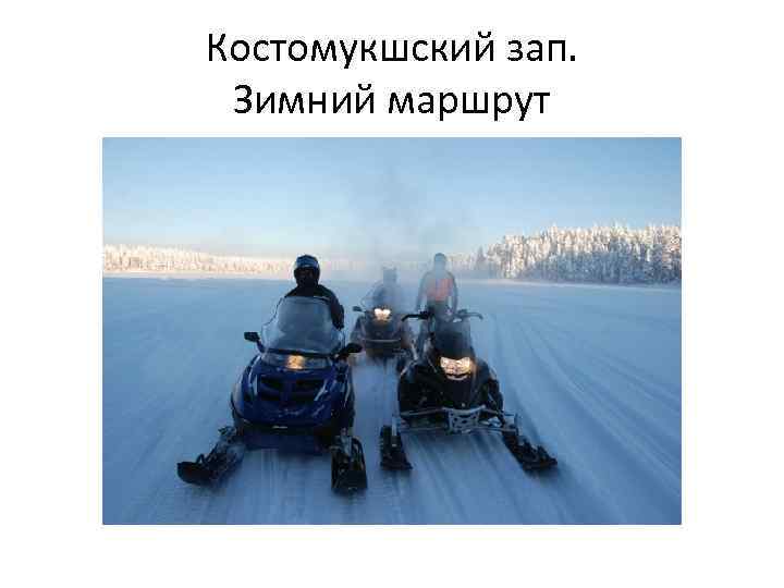 Костомукшский зап. Зимний маршрут 