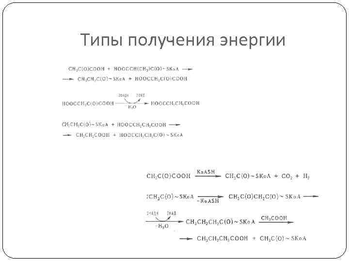 Типы получения энергии 