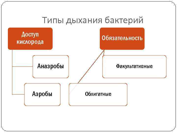 Дыхание бактерий. Способы дыхания бактерий схема. Основные типы дыхания бактерий. Типы дыхания бактерий микробиология. Методы определения типа дыхания у бактерий.