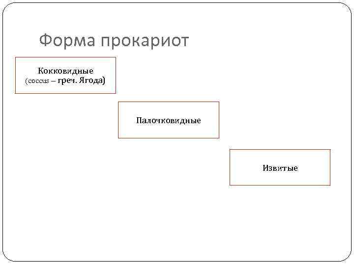 Форма прокариот Кокковидные (coccus – греч. Ягода) Палочковидные Извитые 