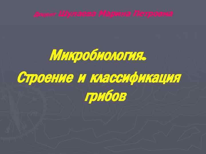 Доцент Шулаева Марина Петровна Микробиология. Строение и классификация грибов 