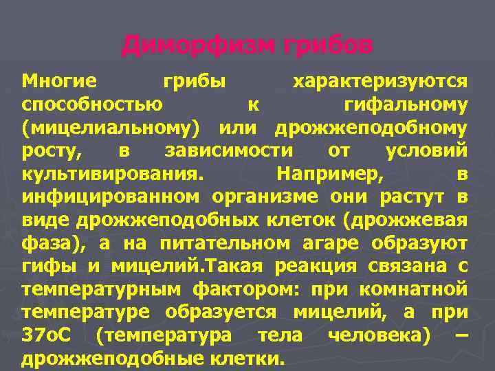 Диморфизм грибов Многие грибы характеризуются способностью к гифальному (мицелиальному) или дрожжеподобному росту, в зависимости