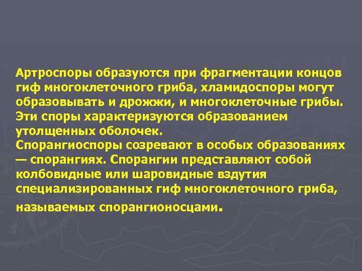 Артроспоры образуются при фрагментации концов гиф многоклеточного гриба, хламидоспоры могут образовывать и дрожжи, и