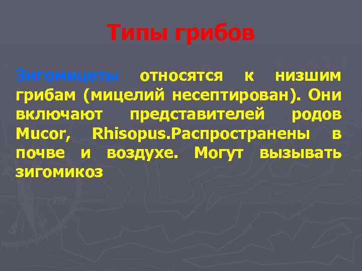 Типы грибов Зигомицеты относятся к низшим грибам (мицелий несептирован). Они включают представителей родов Mucor,