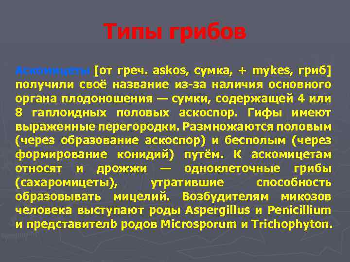 Типы грибов Аскомицеты [от греч. askos, сумка, + mykes, гриб] получили своё название из-за