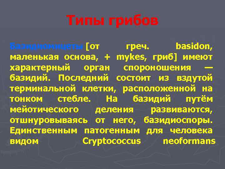 Типы грибов Базидиомицеты [от греч. basidon, маленькая основа, + mykes, гриб] имеют характерный орган