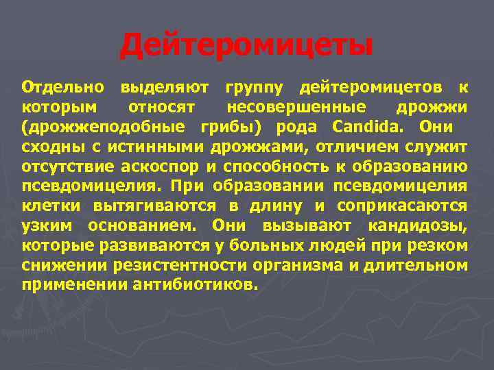 Дейтеромицеты Отдельно выделяют группу дейтеромицетов к которым относят несовершенные дрожжи (дрожжеподобные грибы) рода Candida.