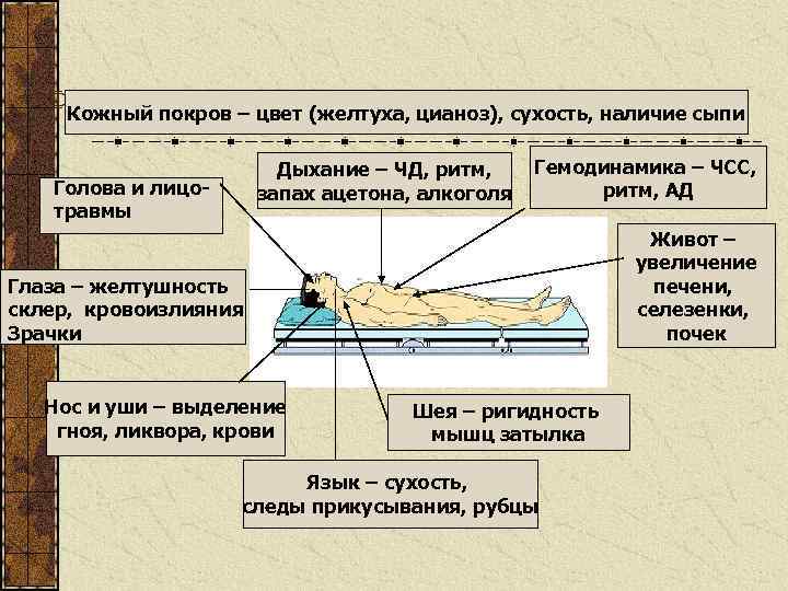 План обследования пациента с желтухой