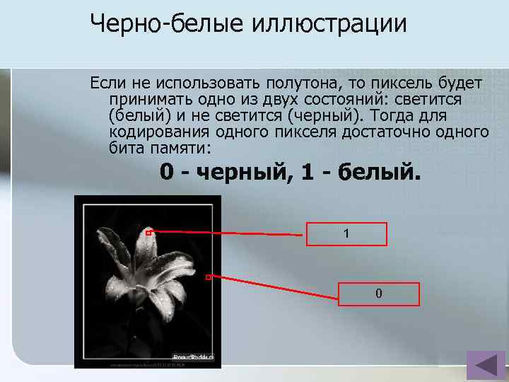 Черно-белые иллюстрации Если не использовать полутона, то пиксель будет принимать одно из двух состояний: