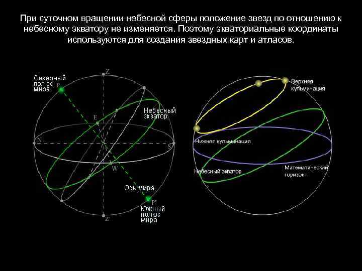 При суточном вращении небесной сферы положение звезд по отношению к небесному экватору не изменяется.