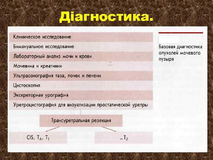 Діагностика. 