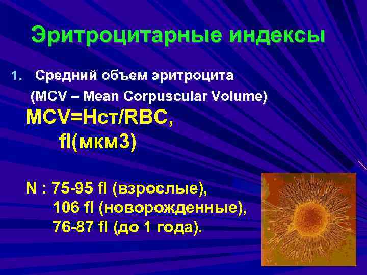 Эритроцитарные индексы 1. Средний объем эритроцита (MCV – Mean Corpuscular Volume) MCV=Нст/RBC, fl(мкм 3)