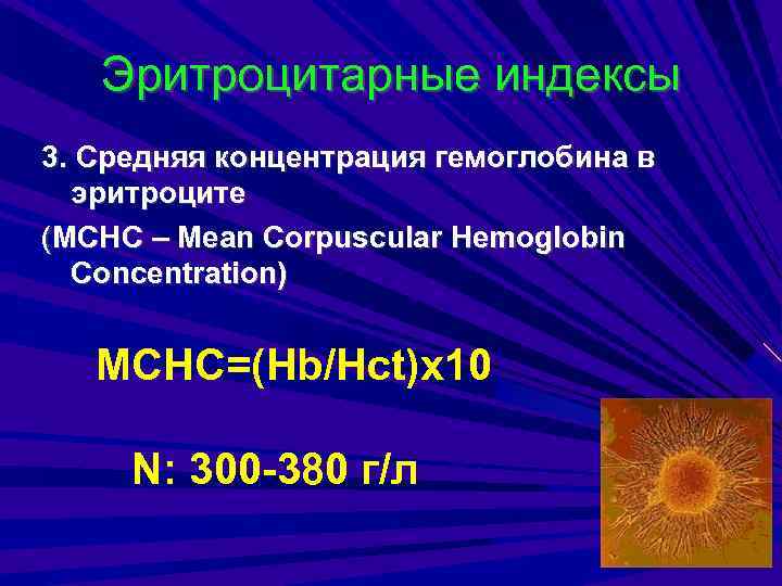 Эритроцитарные индексы 3. Средняя концентрация гемоглобина в эритроците (MCHC – Mean Corpuscular Hemoglobin Concentration)