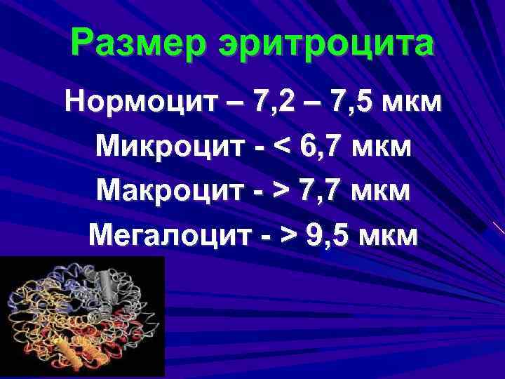 Размер эритроцита Нормоцит – 7, 2 – 7, 5 мкм Микроцит - < 6,