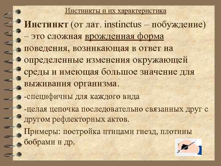 Инстинкты и их характеристика Инстинкт (от лат. instinctus – побуждение) – это сложная врожденная