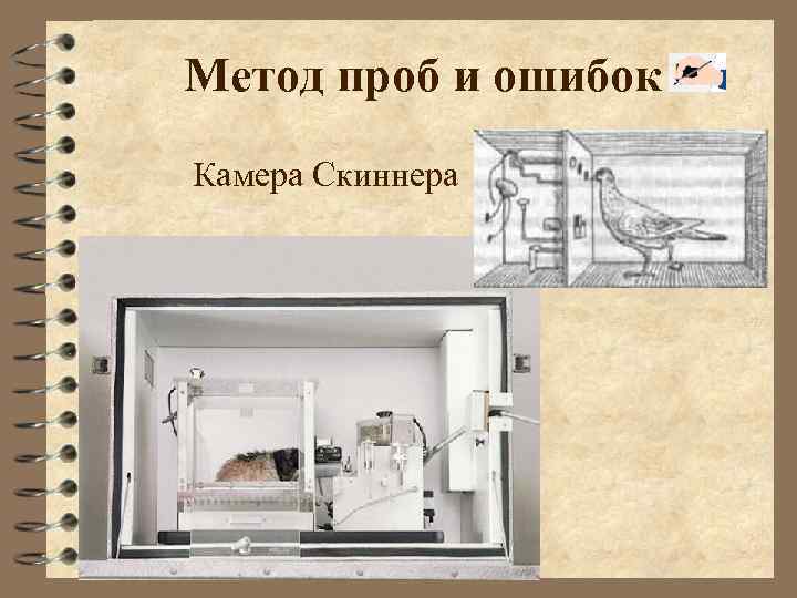 Метод проб и ошибок Камера Скиннера 