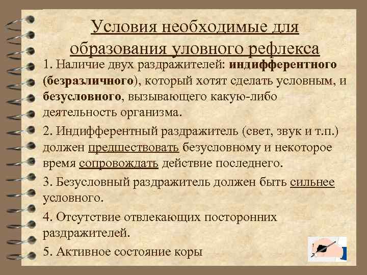 Условия необходимые для образования уловного рефлекса 1. Наличие двух раздражителей: индифферентного (безразличного), который хотят