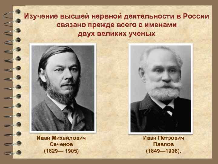 Изучение высшей нервной деятельности в России связано прежде всего с именами двух великих ученых
