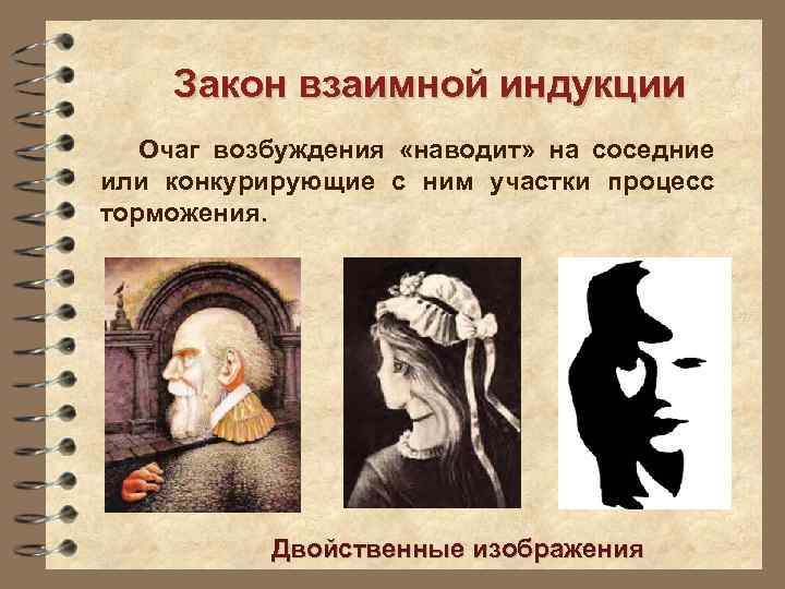 Закон взаимной индукции Очаг возбуждения «наводит» на соседние или конкурирующие с ним участки процесс