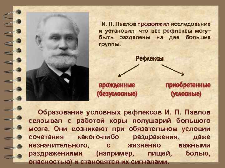 И. П. Павлов продолжил исследование и установил, что все рефлексы могут быть разделены на