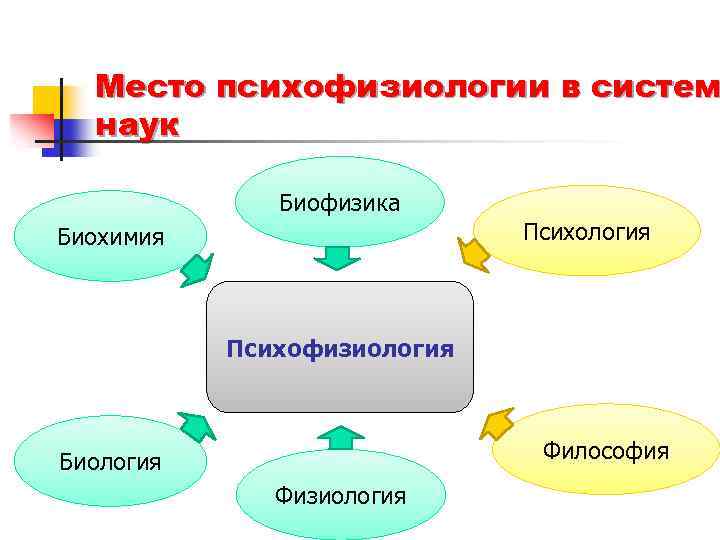 Педагогическая психофизиология презентация