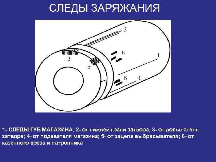 Судебная баллистика картинки