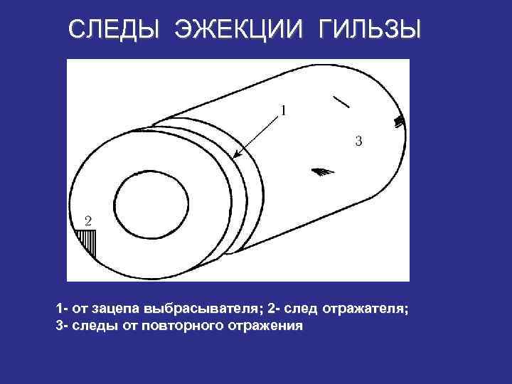 Баллистическая экспертиза гильзы образец