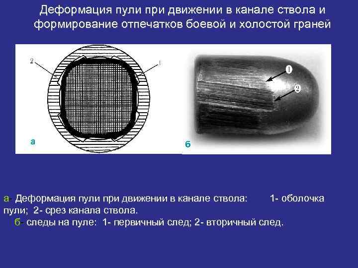 Баллистическая экспертиза гильзы образец