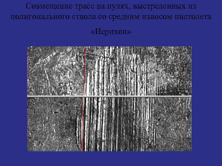 Баллистическая экспертиза гильзы образец