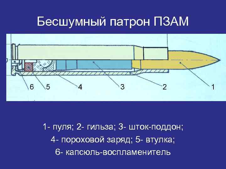 Баллистическая экспертиза гильзы образец