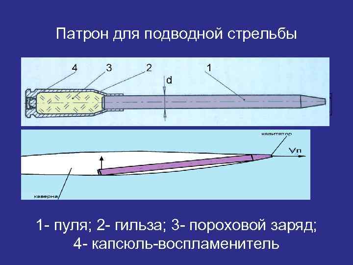 Баллистическая экспертиза гильзы образец