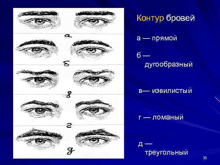 Веки криминалистика. Контур глазной щели криминалистика. Форма глазной щели криминалистика. Строение глазной щели криминалистика. Контур бровей криминалистика.