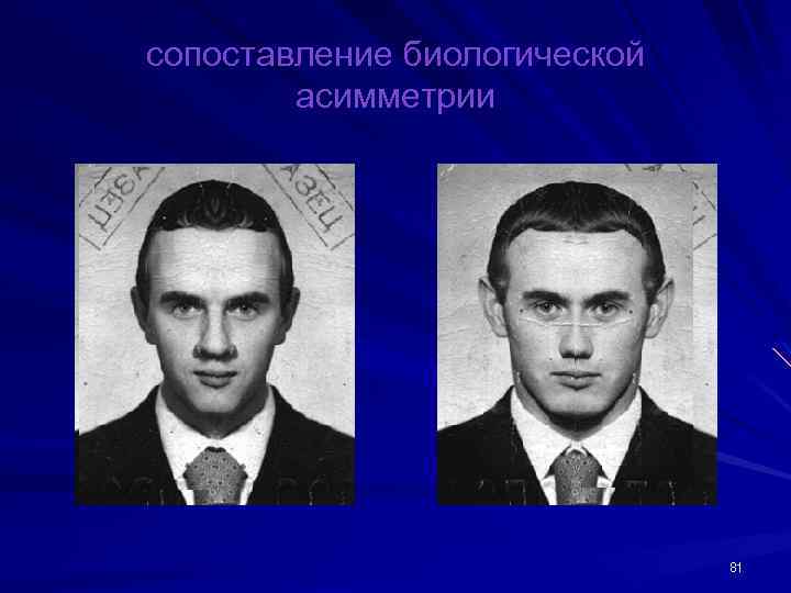 сопоставление биологической асимметрии 81 