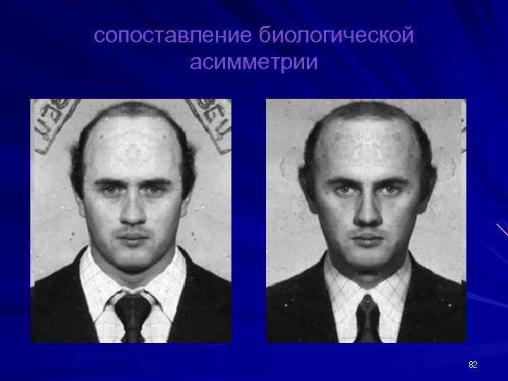 сопоставление биологической асимметрии 82 