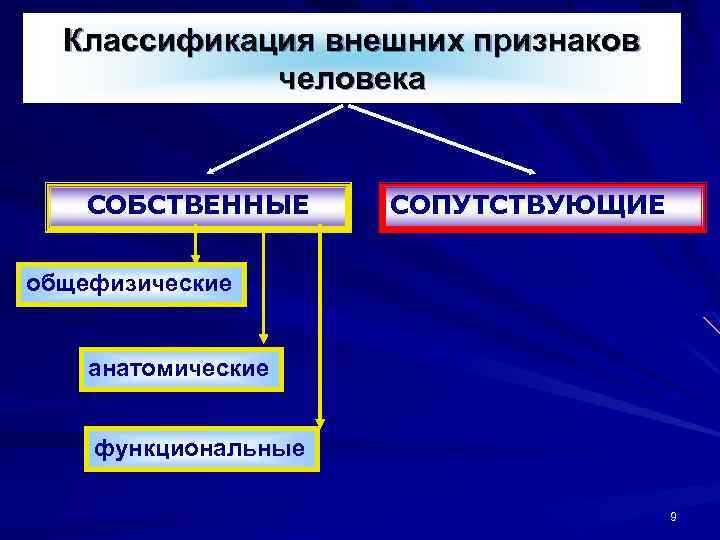 Какие бывают признаки человека. Классификация внешних признаков человека.. Классификация внешних признаков человека криминалистика. Классификация признаков внешности человека. Общефизические, анатомические, функциональные,.