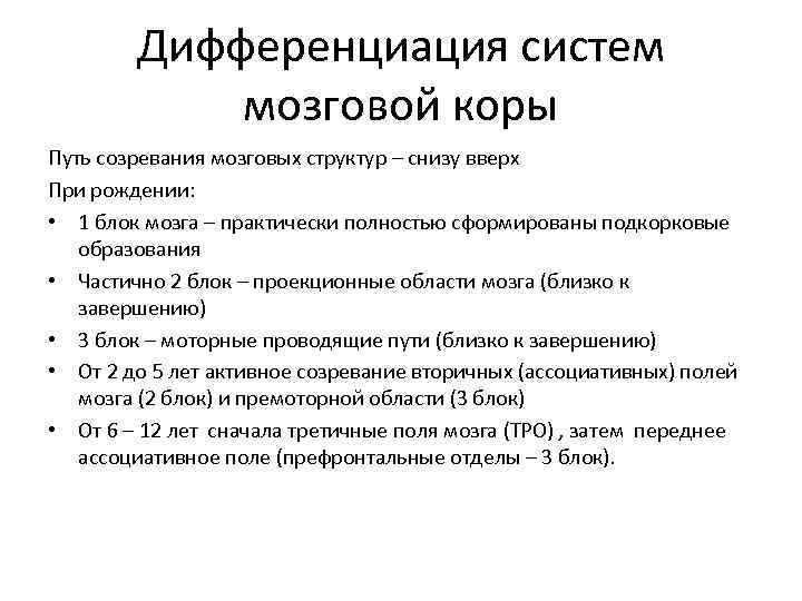 Дифференциация систем мозговой коры Путь созревания мозговых структур – снизу вверх При рождении: •