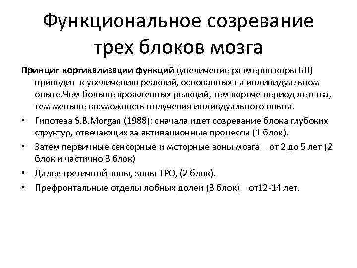 Функциональное созревание трех блоков мозга Принцип кортикализации функций (увеличение размеров коры БП) приводит к