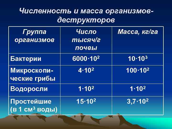Численность и масса организмовдеструкторов Группа организмов Число тысяч/г почвы Масса, кг/га 6000· 102 10·