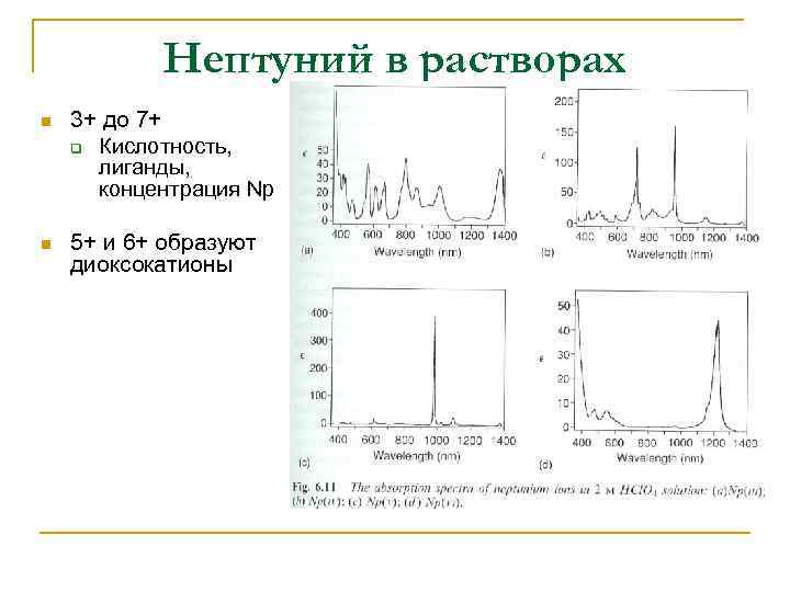 Нептуний в растворах n 3+ до 7+ q Кислотность, лиганды, концентрация Np n 5+