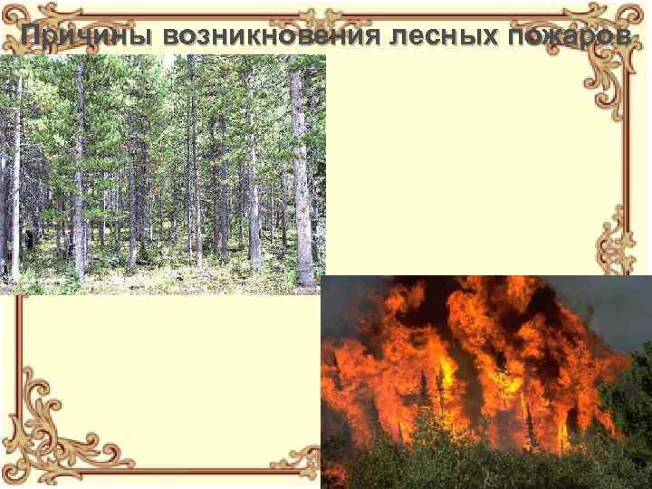 Причины возникновения лесных пожаров 