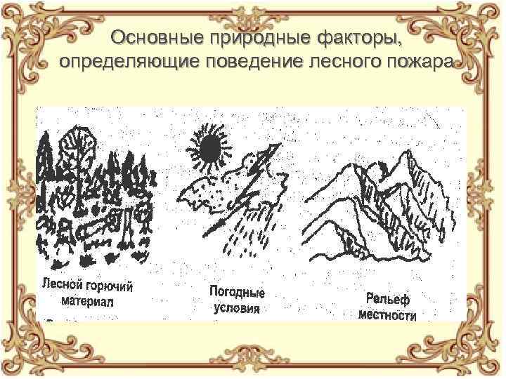 Основные природные факторы, определяющие поведение лесного пожара 