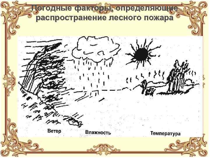 Погодные факторы, определяющие распространение лесного пожара 