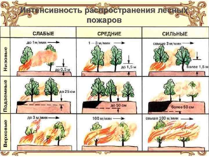Интенсивность распространения лесных пожаров 