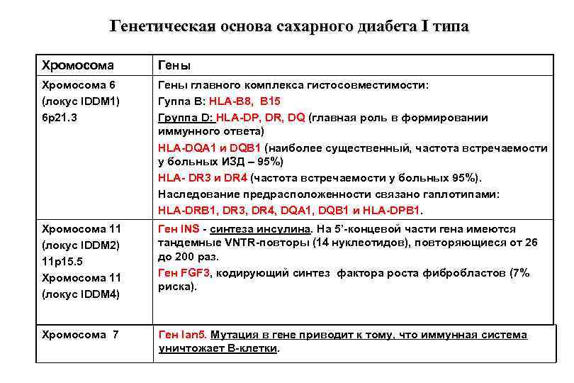 Генетическая основа сахарного диабета I типа Хромосома Гены Хромосома 6 (локус IDDM 1) 6