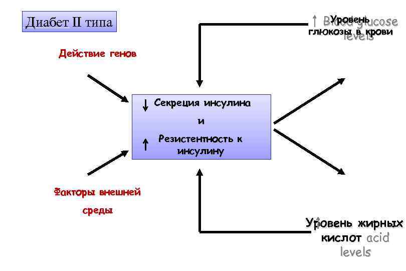 Уровень Blood glucose глюкозы в крови levels Диабет II типа Действие генов Секреция инсулина