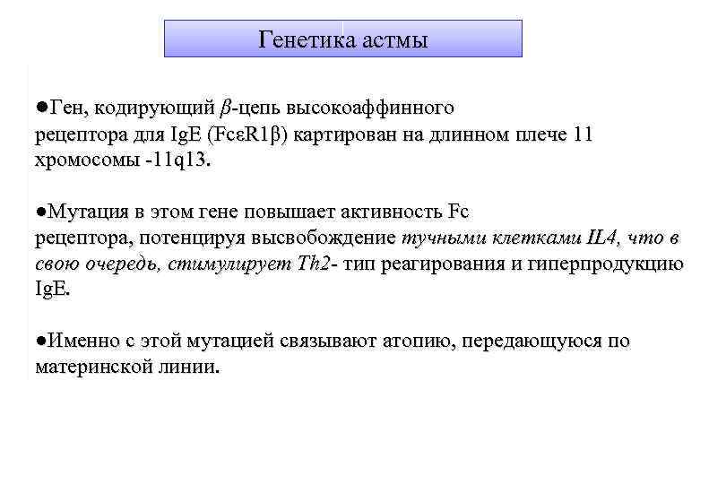 Генетика астмы ●Ген, кодирующий β-цепь высокоаффинного рецептора для Ig. E (FcεR 1β) картирован на