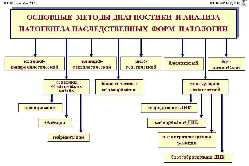 © П. Ф. Литвицкий, 2004 © ГЭОТАР-МЕД, 2004 ОСНОВНЫЕ МЕТОДЫ ДИАГНОСТИКИ И АНАЛИЗА ПАТОГЕНЕЗА