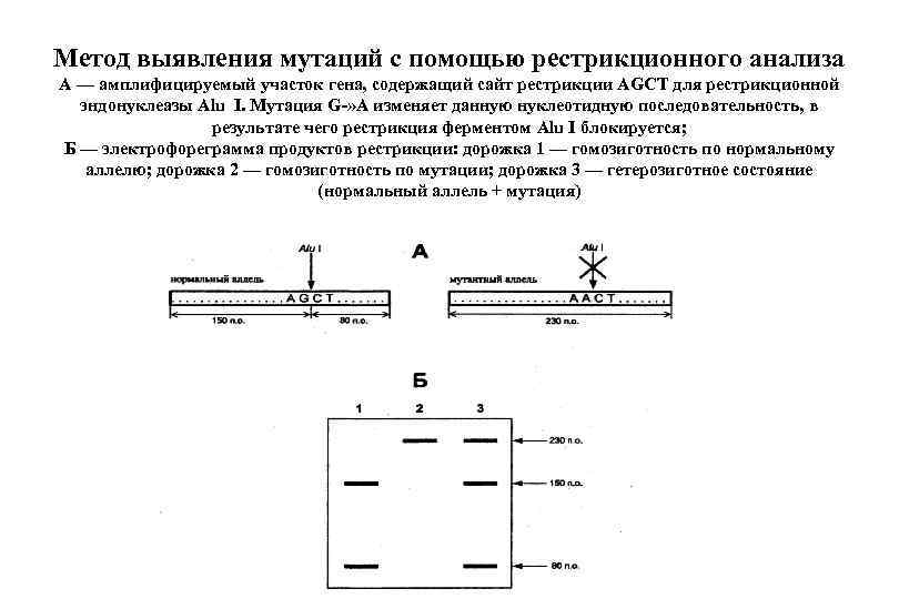 Определение мутации генов